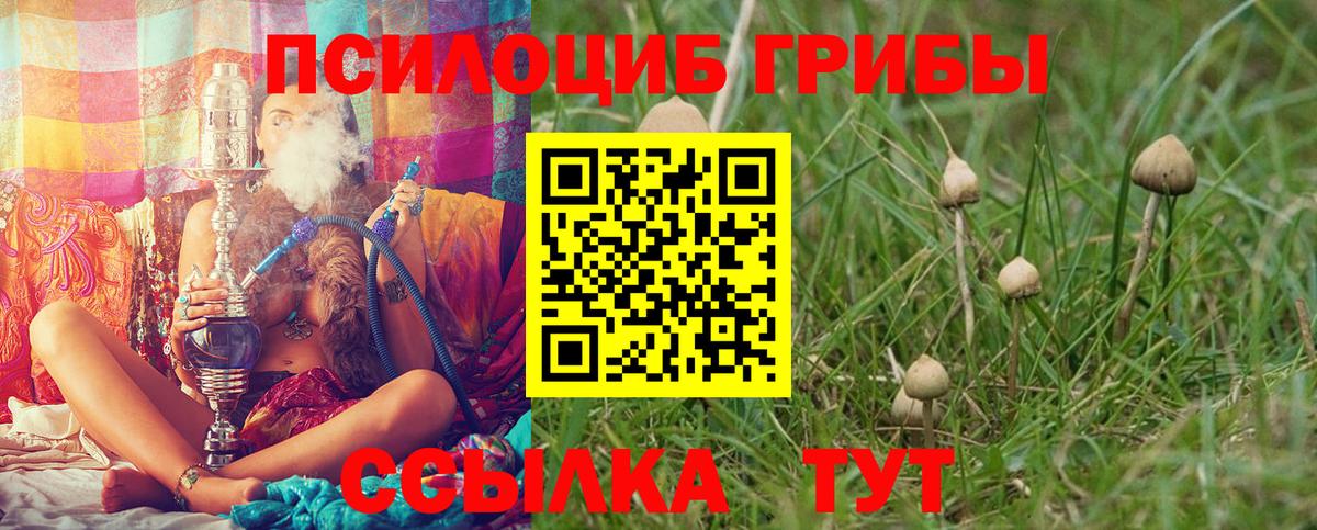 Псилоцибиновые грибы Magic Shrooms Чебаркуль