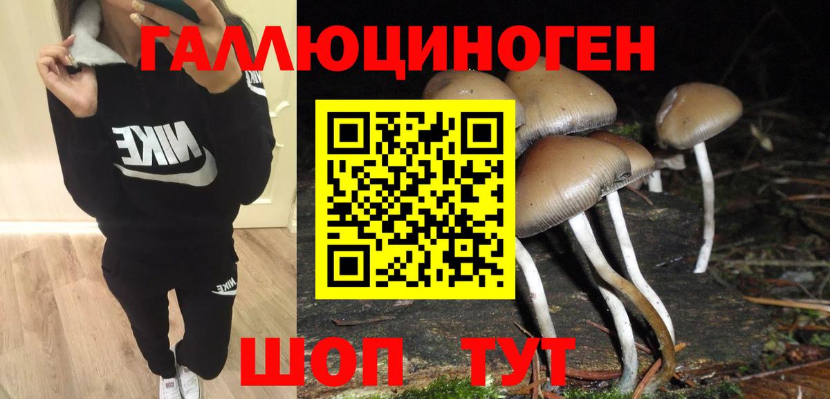 Псилоцибиновые грибы Psilocybe  Вход с VPN  Чебаркуль  Галлюциногенные грибы прущие грибы 